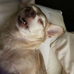 Meet your Posher, Cherylanne